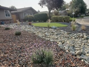 Landscaped yard featuring decorative rocks, lavender plants, and ornamental grasses, showcasing a modern design ideal for concrete project inspiration in Sacramento.